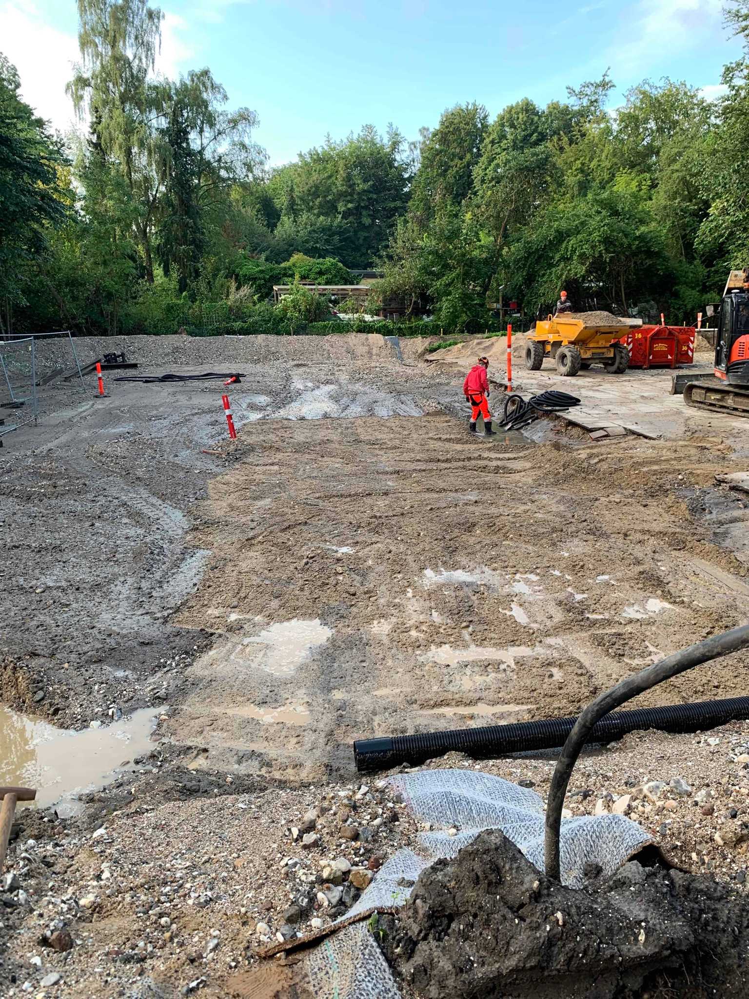 Mobilfoto_12-08-2021_12.28.8_4